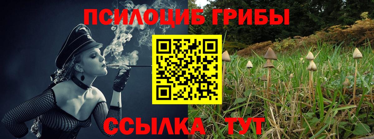 Шатура  наркошоп  Вход с VPN  Галлюциногенные грибы прущие грибы 