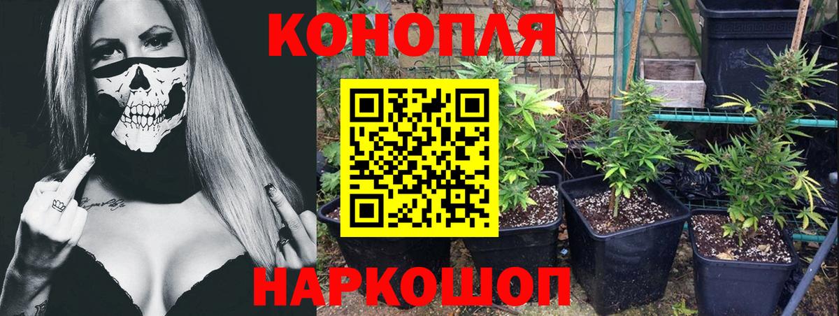 Мефедрон   Шатура  LSD-25  Магазины продажи наркотиков  ГАШ  ГАШИШ  Вход с VPN 